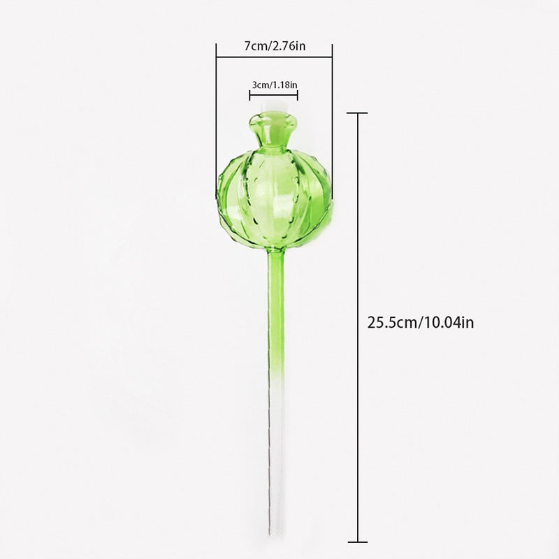 Glass Cactus Self Water System