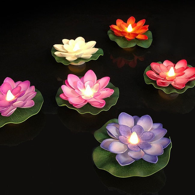 Floating Water Lotus Flowers