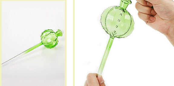 Glass Cactus Self Water System