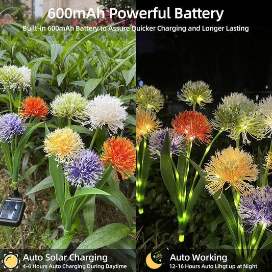 Solar Dandelion Garden Lights