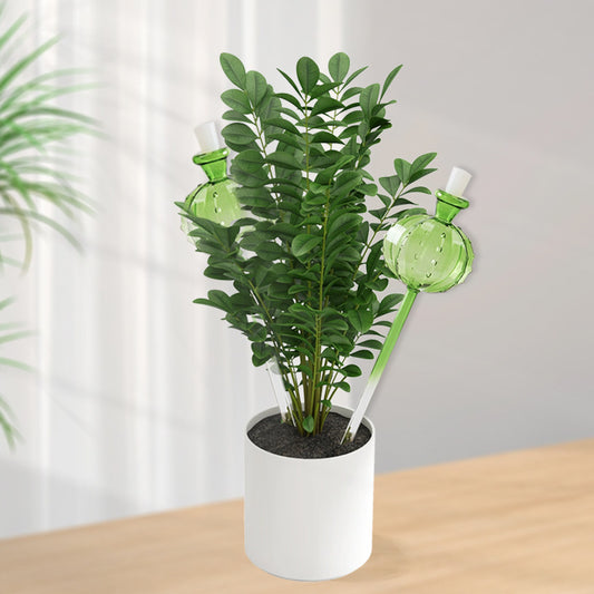 Glass Cactus Self Water System
