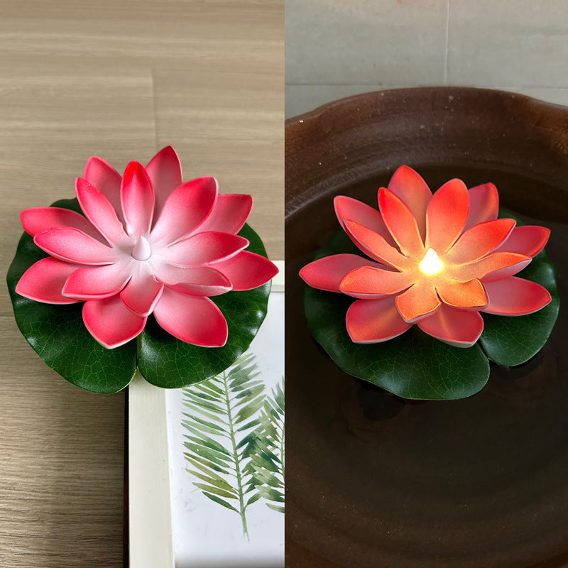 Floating Water Lotus Flowers