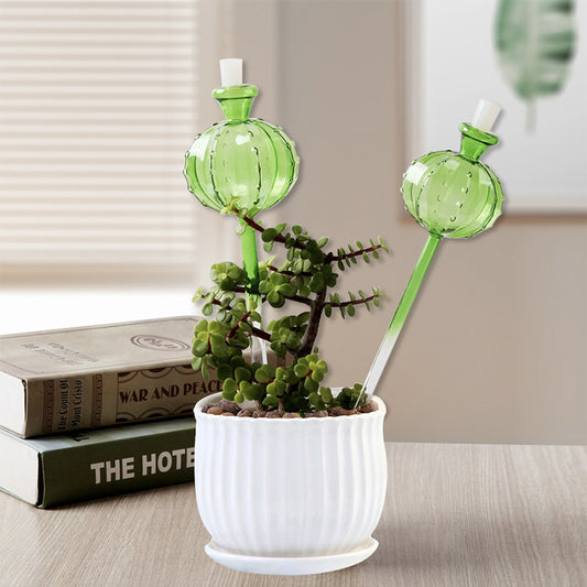 Glass Cactus Self Water System
