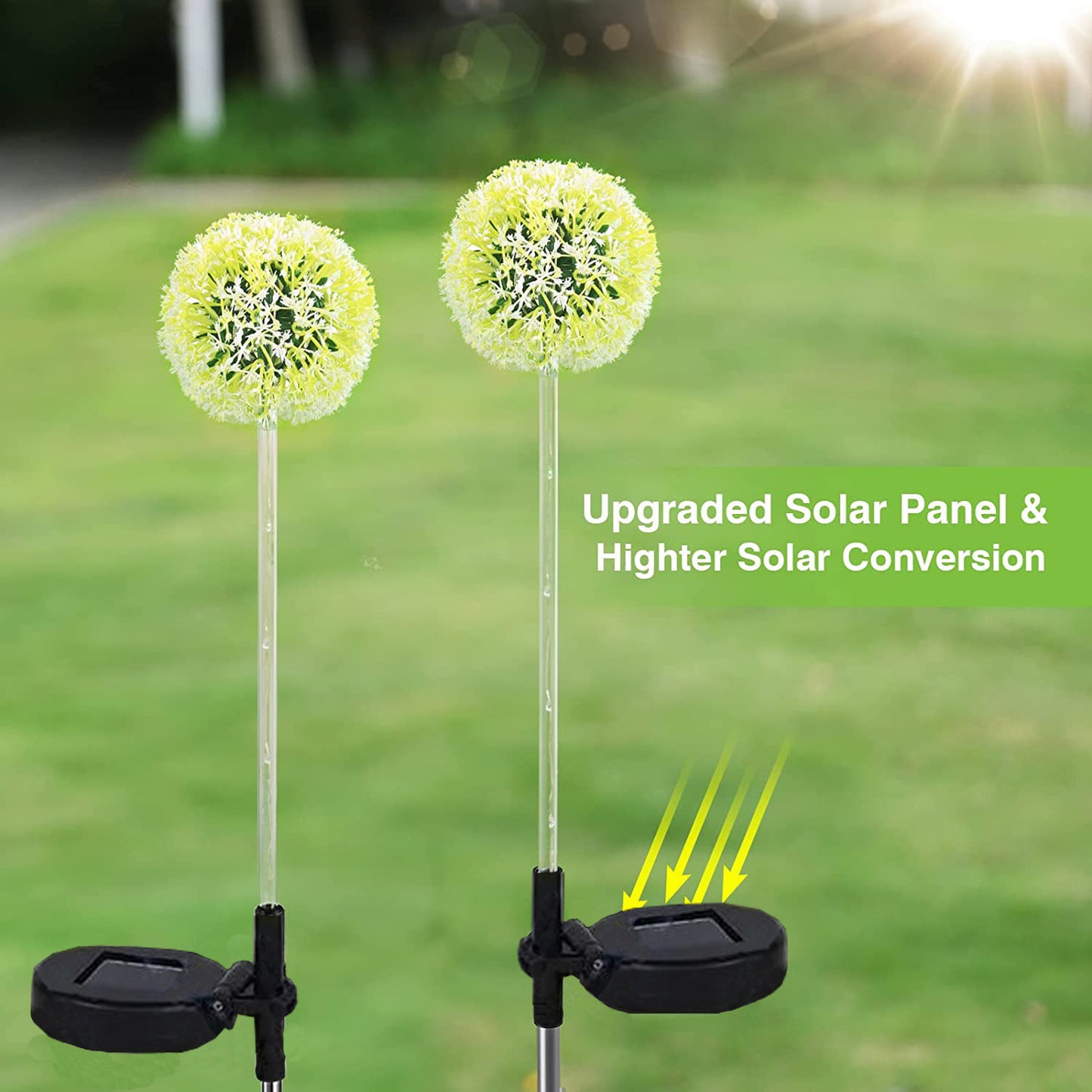 Solar Dandelion Garden Lights
